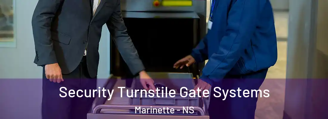  Security Turnstile Gate Systems Marinette - NS