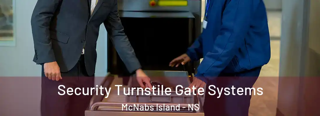 Security Turnstile Gate Systems McNabs Island - NS