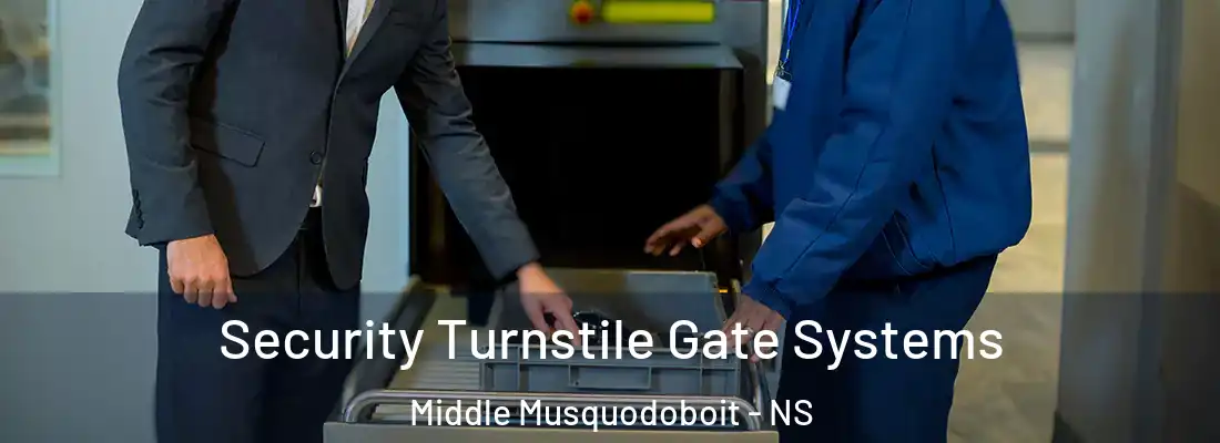 Security Turnstile Gate Systems Middle Musquodoboit - NS
