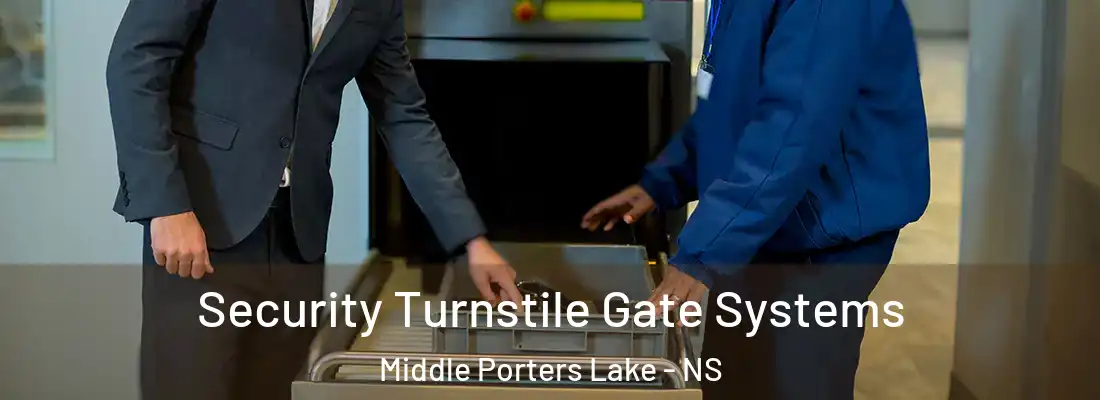 Security Turnstile Gate Systems Middle Porters Lake - NS