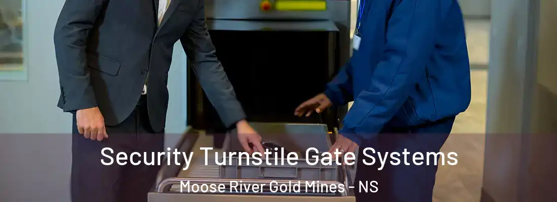 Security Turnstile Gate Systems Moose River Gold Mines - NS