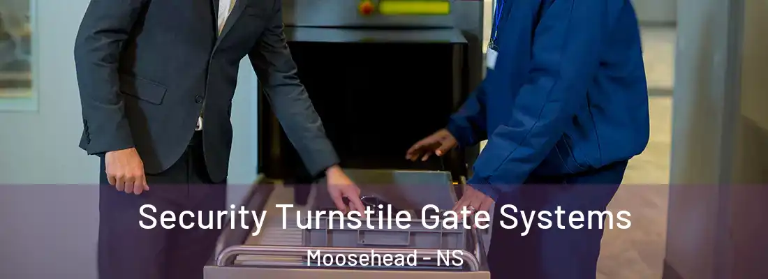 Security Turnstile Gate Systems Moosehead - NS