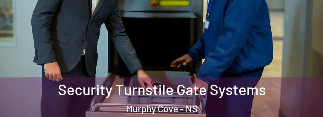 Security Turnstile Gate Systems Murphy Cove - NS