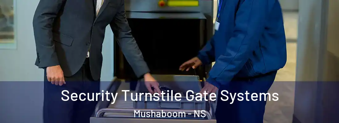 Security Turnstile Gate Systems Mushaboom - NS