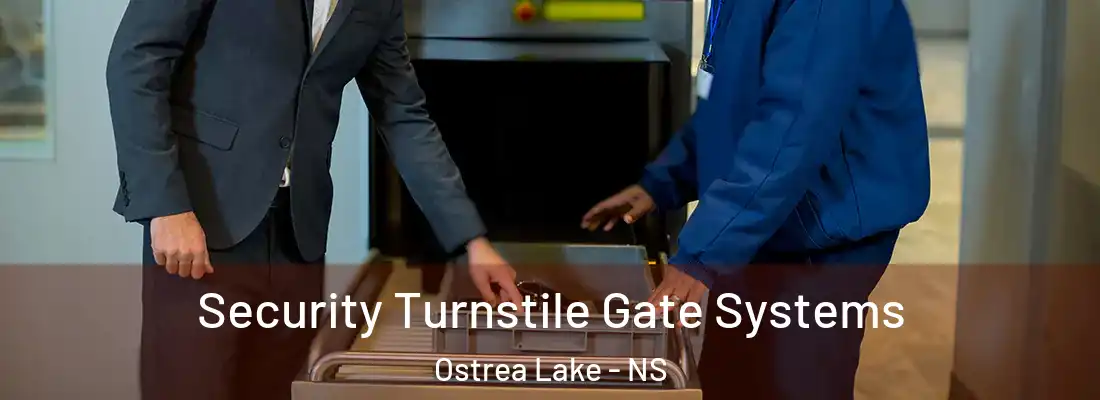  Security Turnstile Gate Systems Ostrea Lake - NS