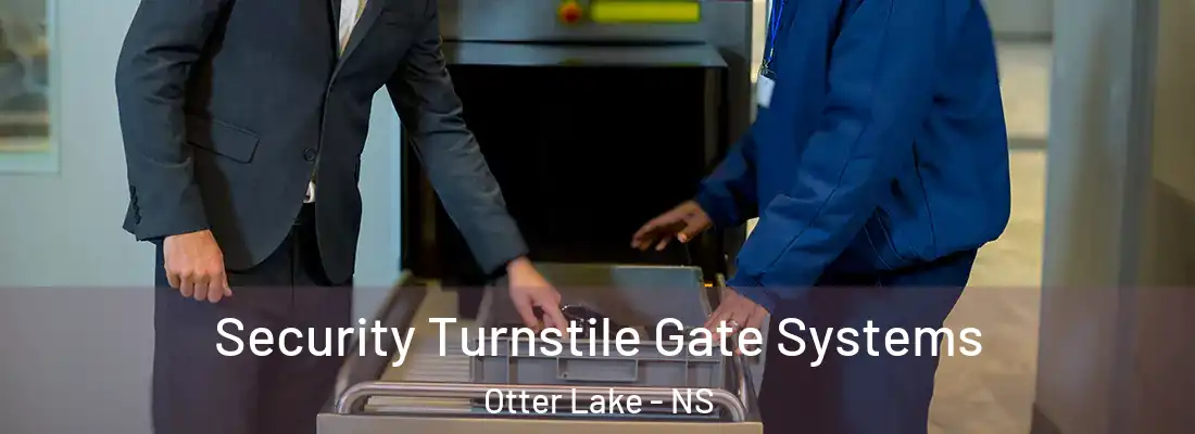 Security Turnstile Gate Systems Otter Lake - NS