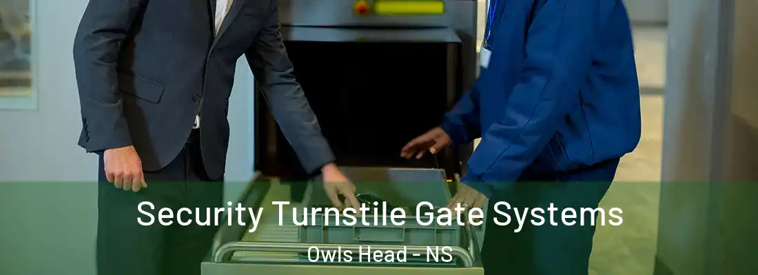Security Turnstile Gate Systems Owls Head - NS