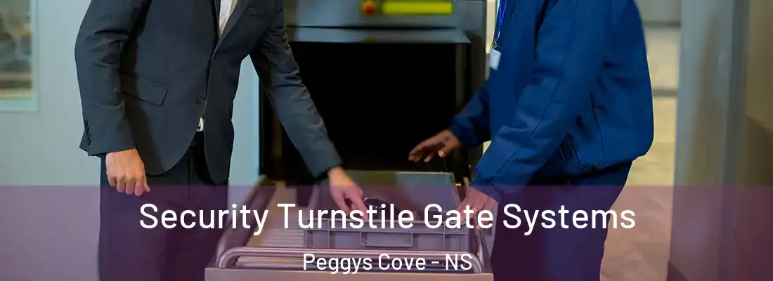 Security Turnstile Gate Systems Peggys Cove - NS
