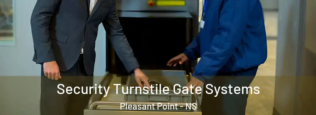  Security Turnstile Gate Systems Pleasant Point - NS