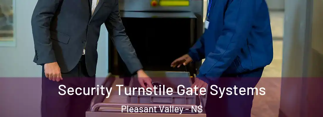 Security Turnstile Gate Systems Pleasant Valley - NS