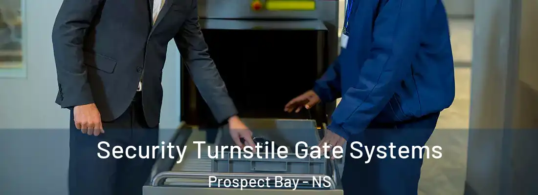  Security Turnstile Gate Systems Prospect Bay - NS