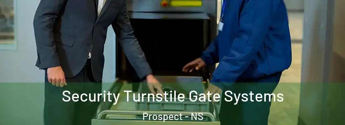 Security Turnstile Gate Systems Prospect - NS