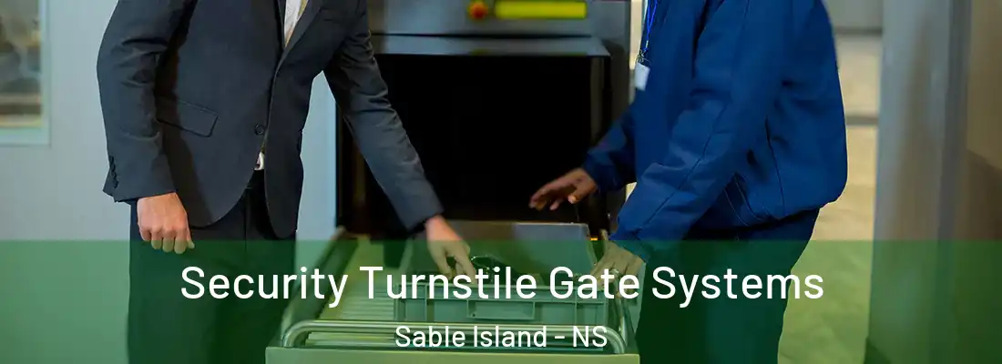 Security Turnstile Gate Systems Sable Island - NS