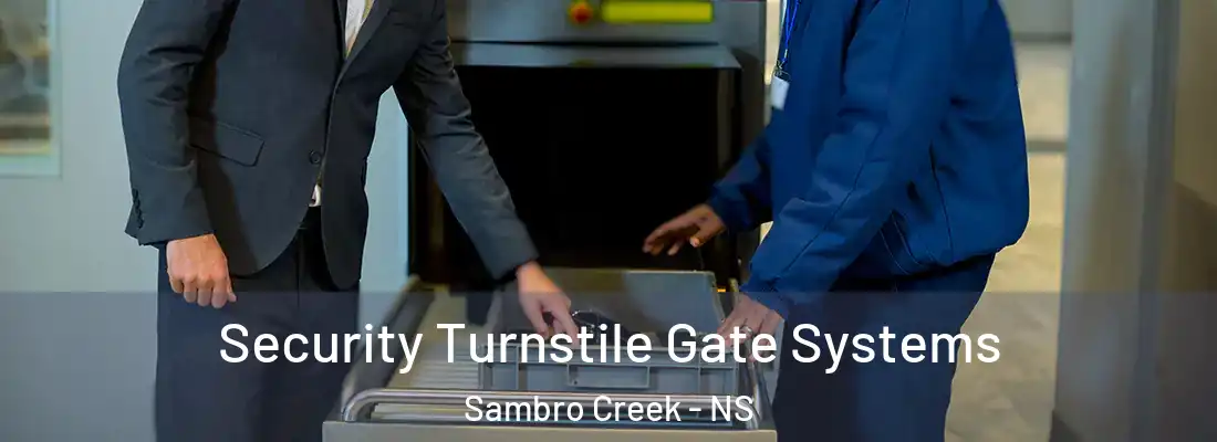Security Turnstile Gate Systems Sambro Creek - NS
