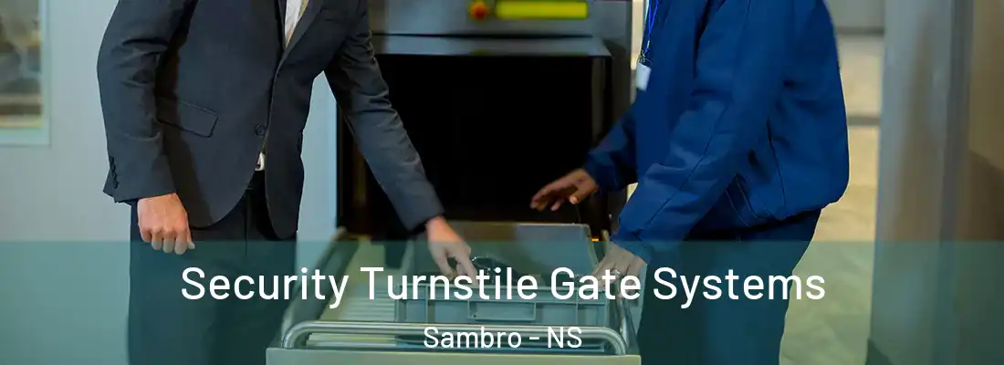 Security Turnstile Gate Systems Sambro - NS