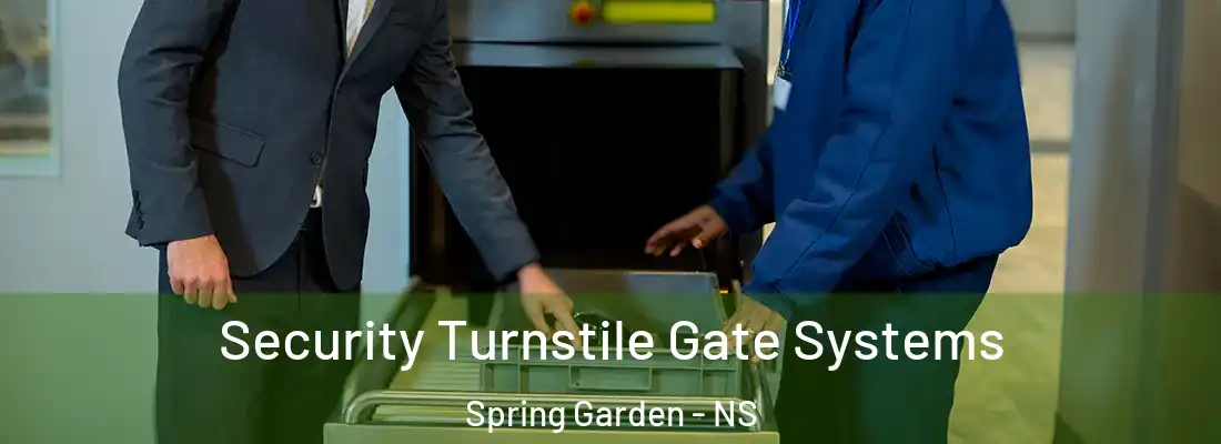 Security Turnstile Gate Systems Spring Garden - NS