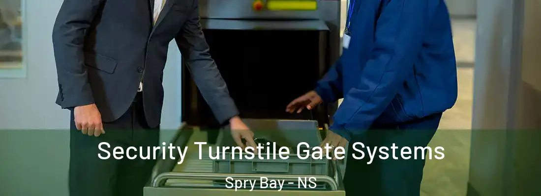 Security Turnstile Gate Systems Spry Bay - NS