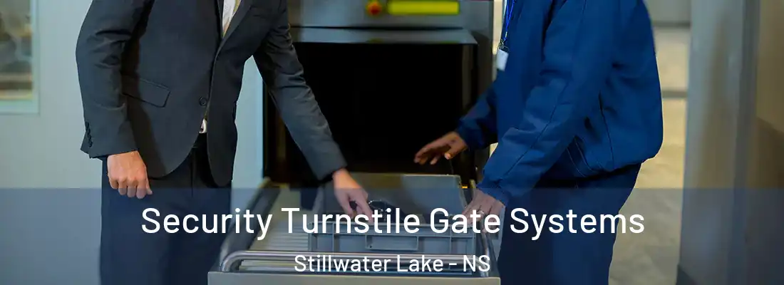 Security Turnstile Gate Systems Stillwater Lake - NS