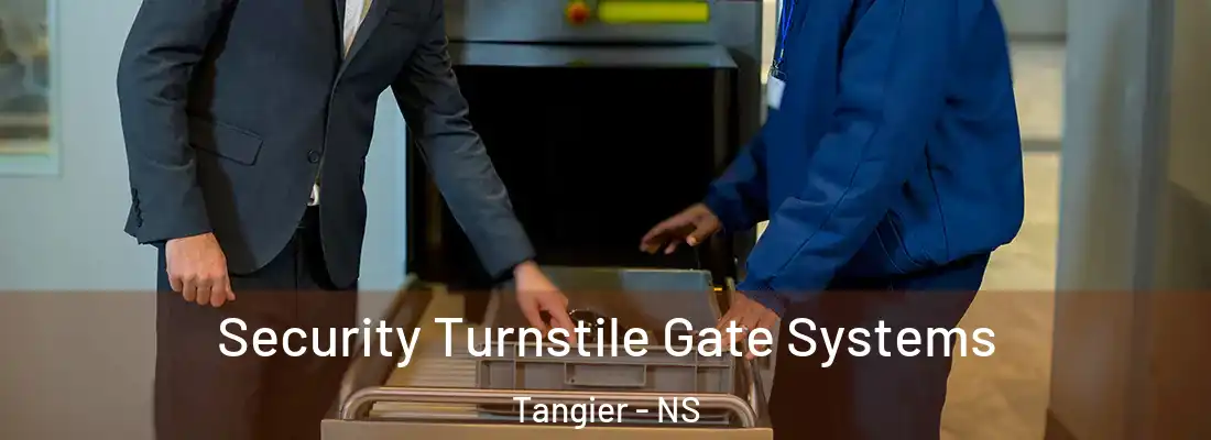 Security Turnstile Gate Systems Tangier - NS