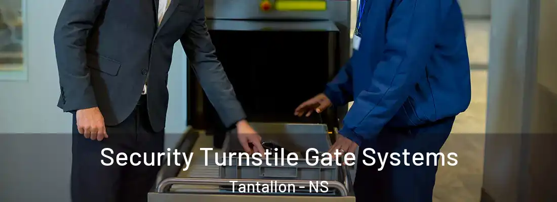 Security Turnstile Gate Systems Tantallon - NS