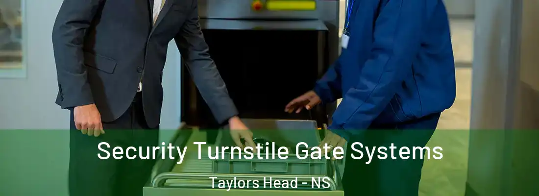 Security Turnstile Gate Systems Taylors Head - NS