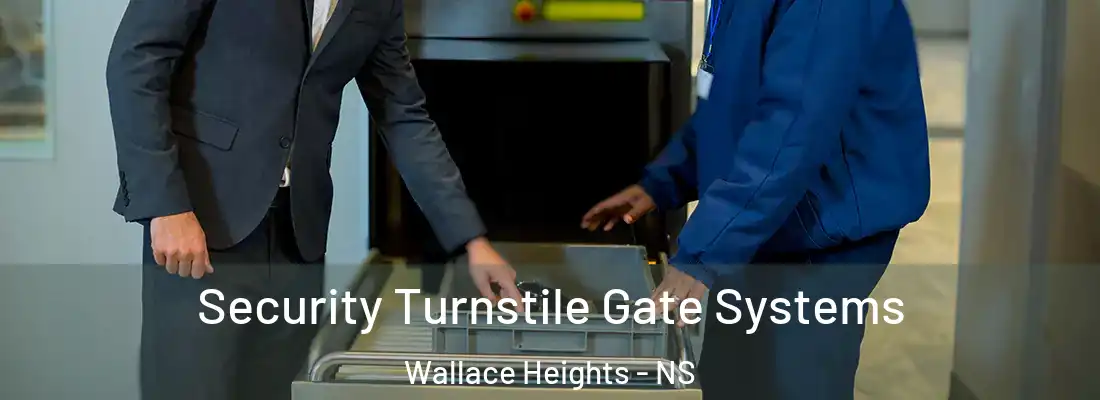 Security Turnstile Gate Systems Wallace Heights - NS
