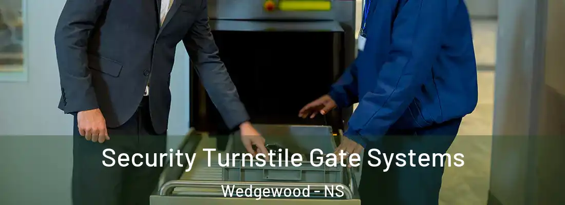 Security Turnstile Gate Systems Wedgewood - NS