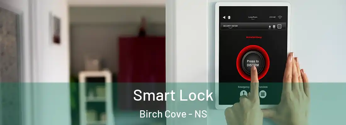 Smart Lock Birch Cove - NS
