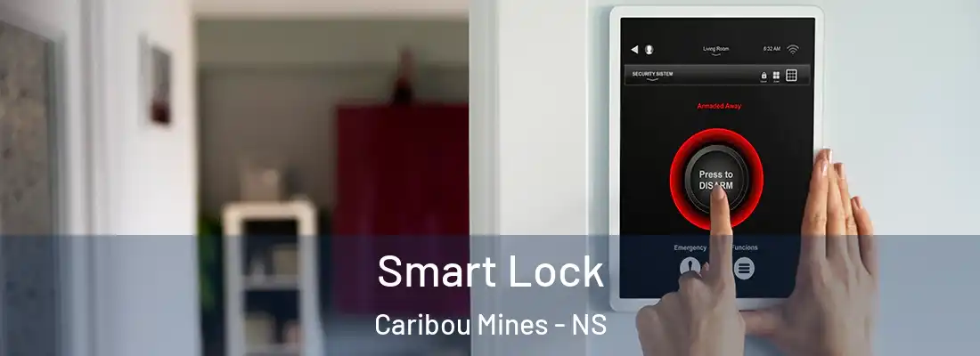 Smart Lock Caribou Mines - NS