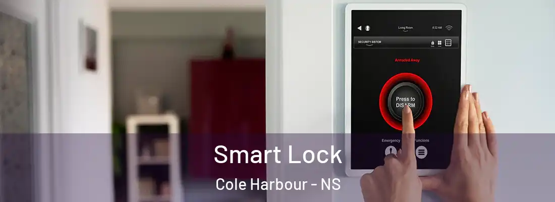  Smart Lock Cole Harbour - NS