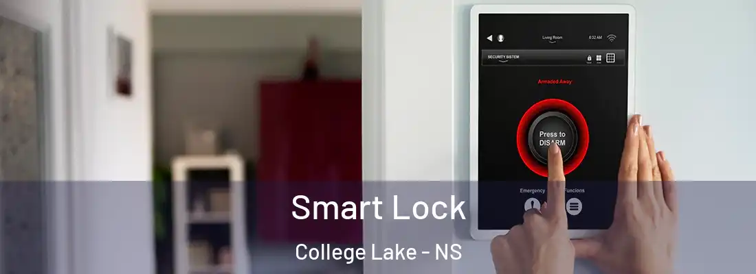 Smart Lock College Lake - NS