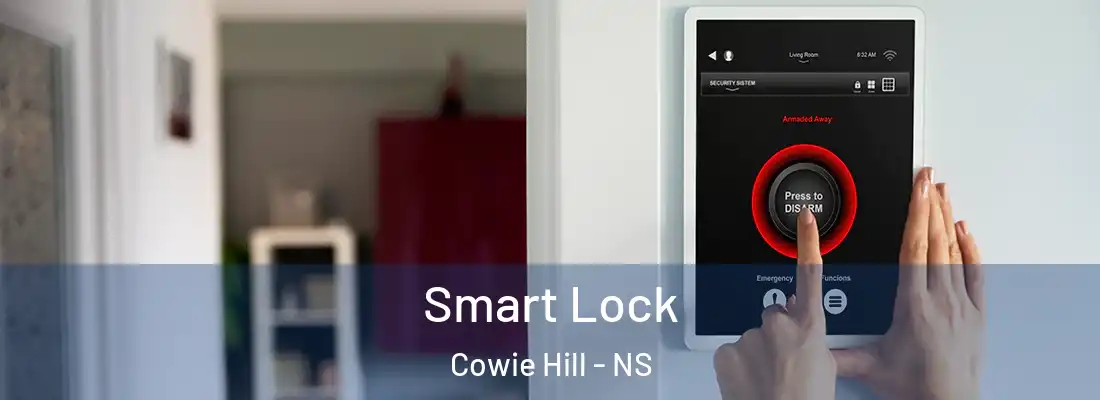 Smart Lock Cowie Hill - NS