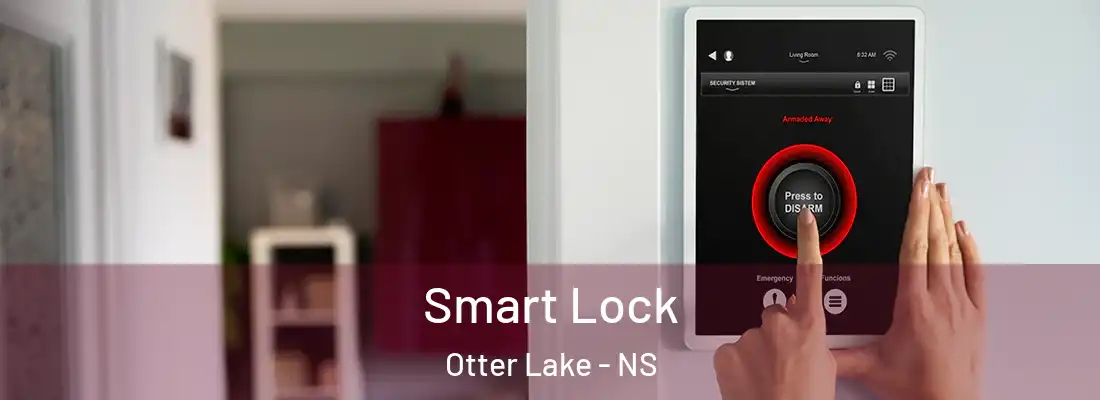 Smart Lock Otter Lake - NS