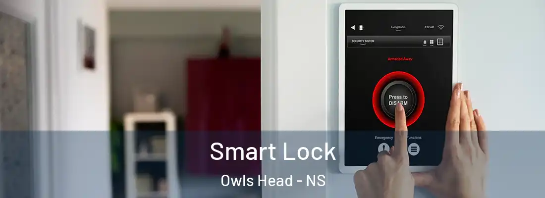  Smart Lock Owls Head - NS