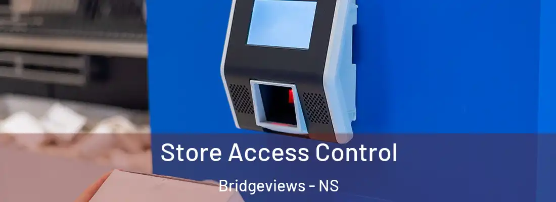 Store Access Control Bridgeviews - NS