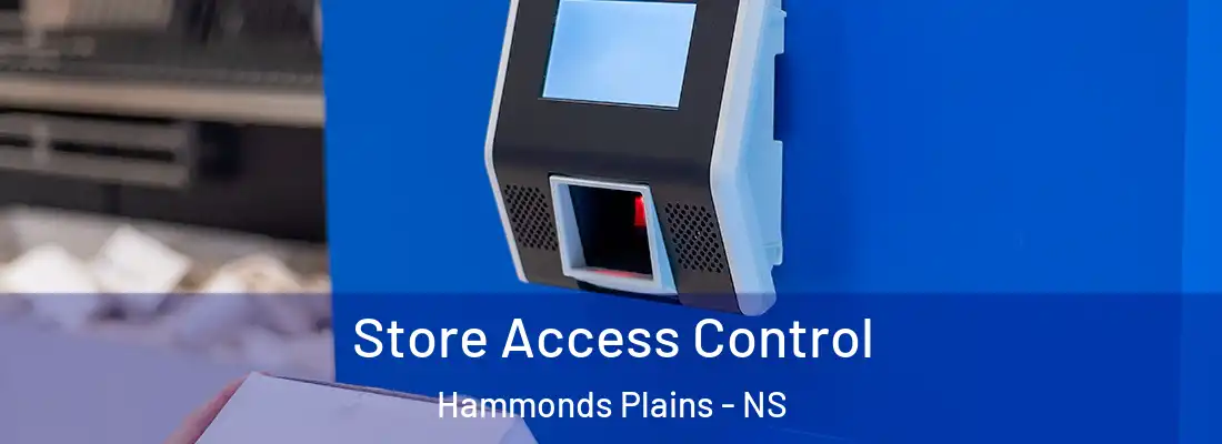 Store Access Control Hammonds Plains - NS