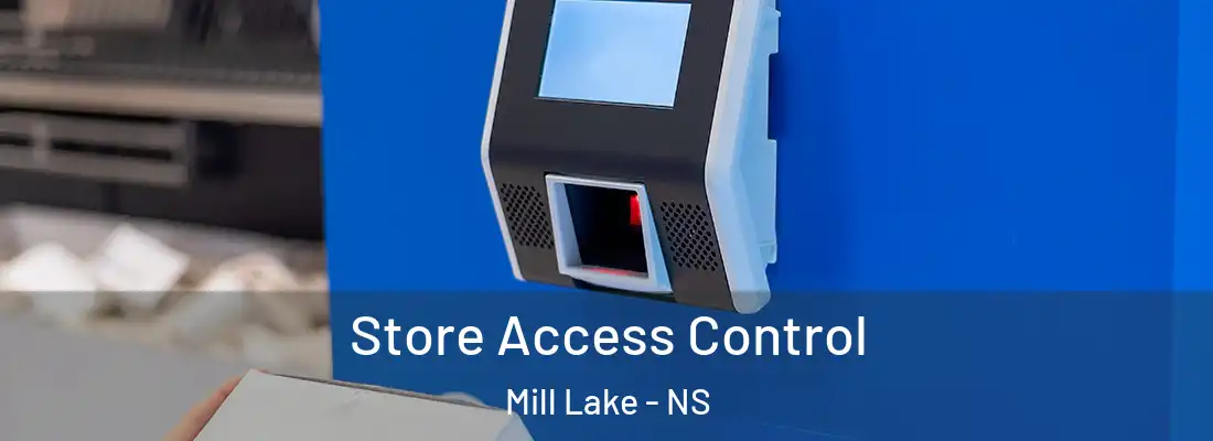Store Access Control Mill Lake - NS