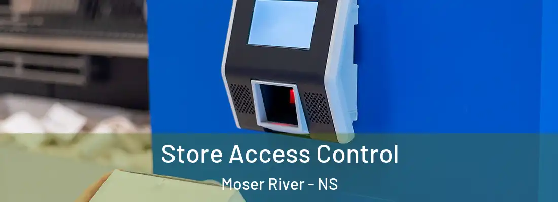 Store Access Control Moser River - NS