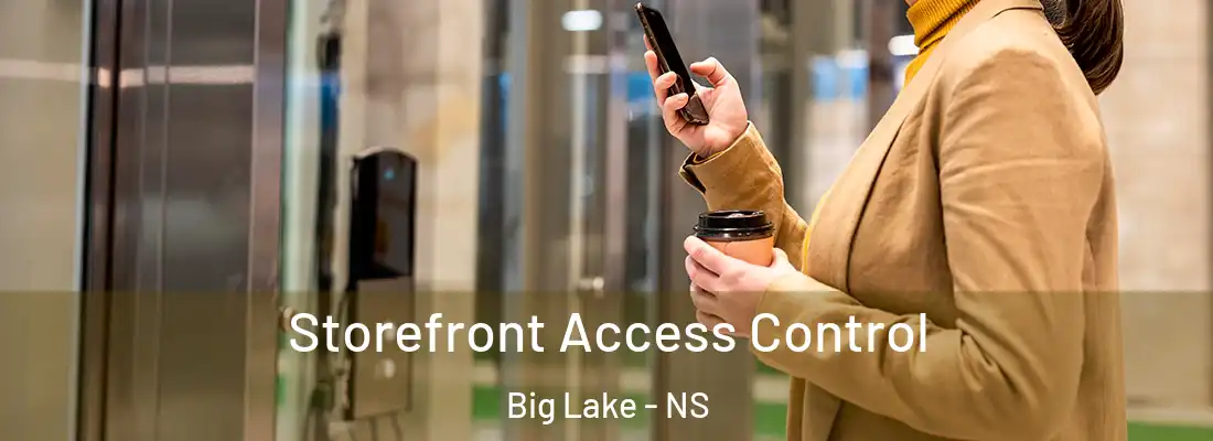 Storefront Access Control Big Lake - NS