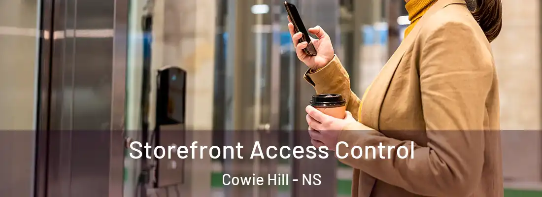 Storefront Access Control Cowie Hill - NS