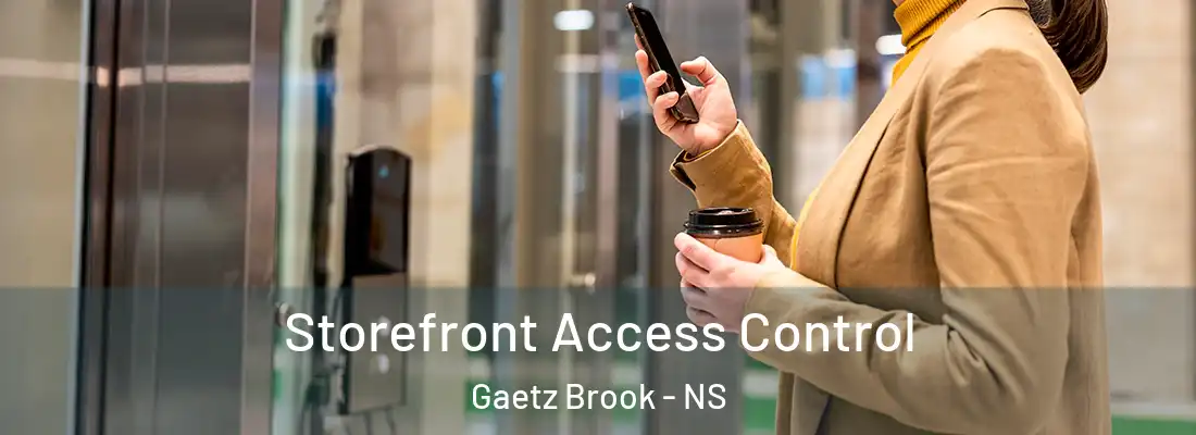 Storefront Access Control Gaetz Brook - NS