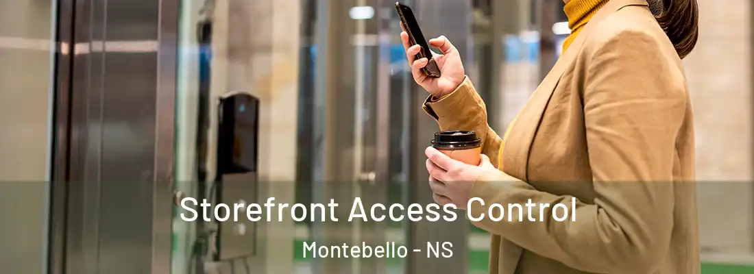 Storefront Access Control Montebello - NS