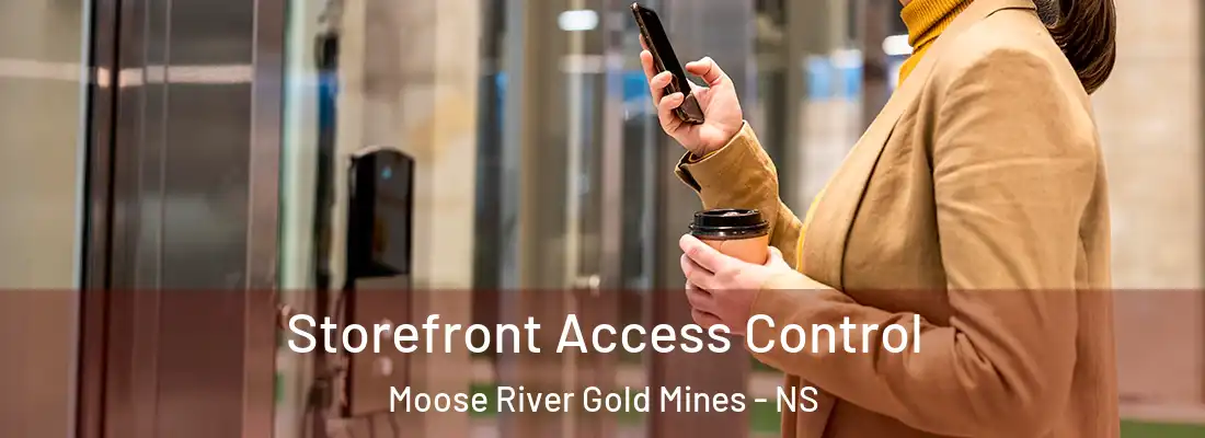  Storefront Access Control Moose River Gold Mines - NS