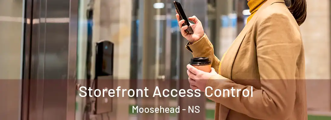 Storefront Access Control Moosehead - NS
