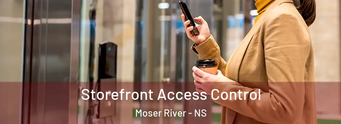  Storefront Access Control Moser River - NS