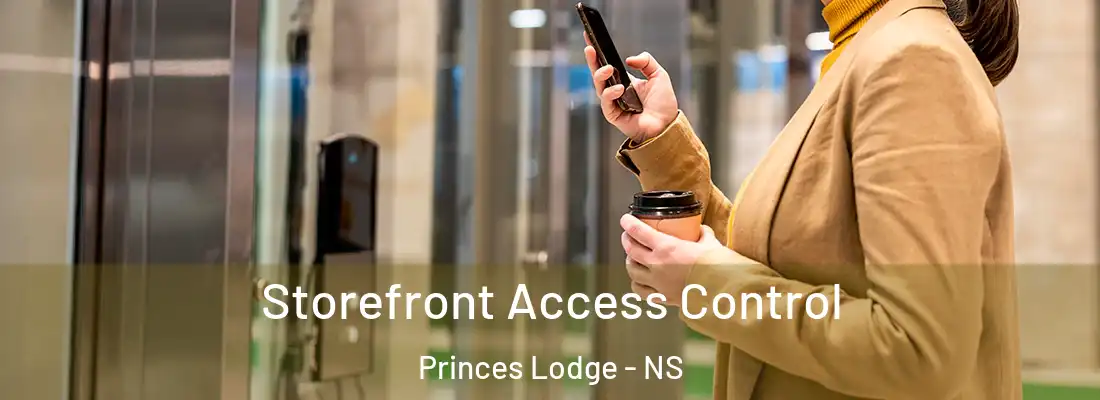 Storefront Access Control Princes Lodge - NS