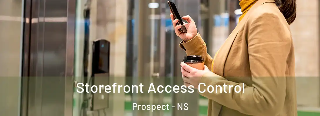  Storefront Access Control Prospect - NS