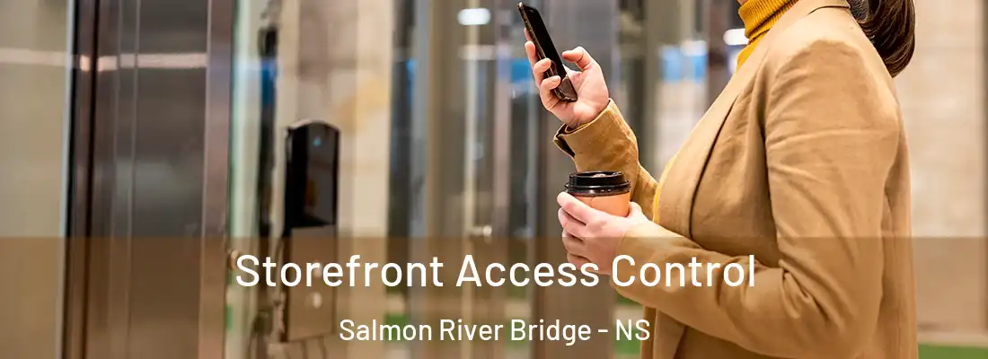 Storefront Access Control Salmon River Bridge - NS