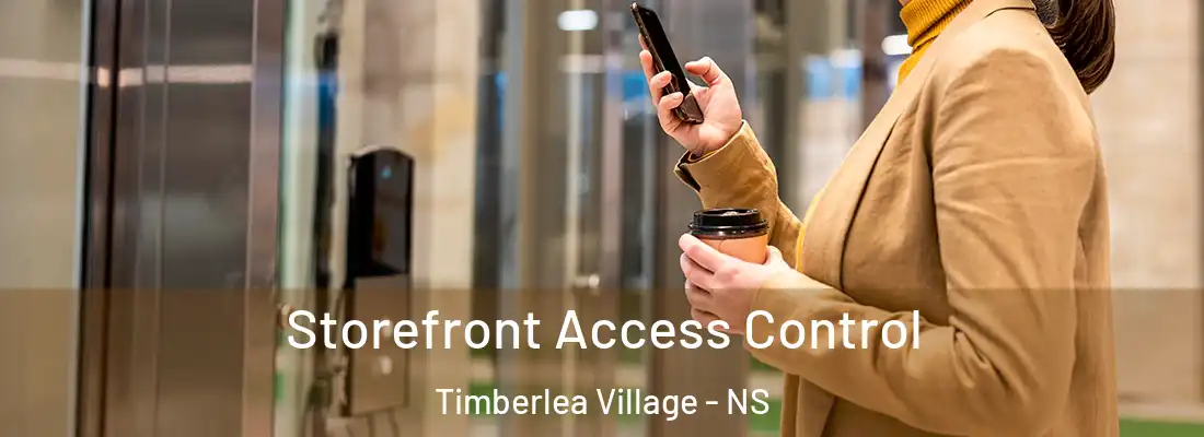 Storefront Access Control Timberlea Village - NS