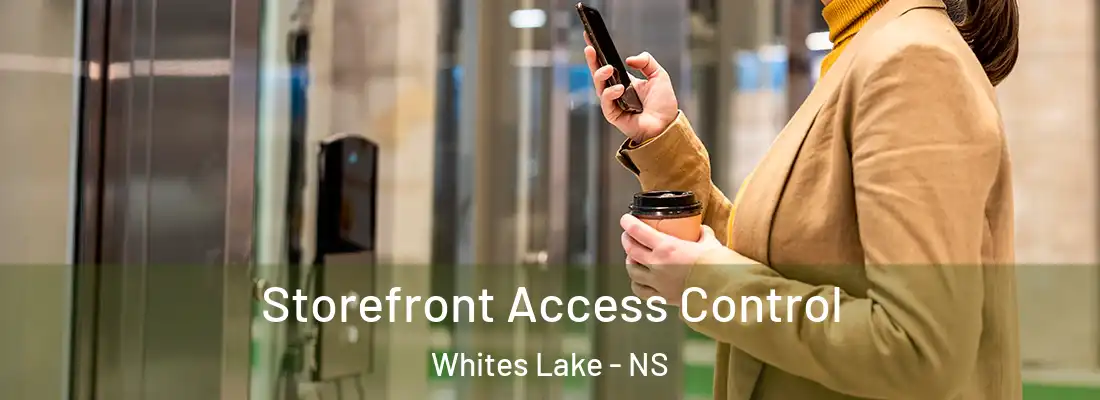 Storefront Access Control Whites Lake - NS